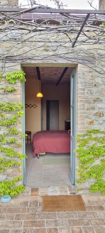 Borgo Cardaneto Bed & Breakfast Montone  Exterior photo